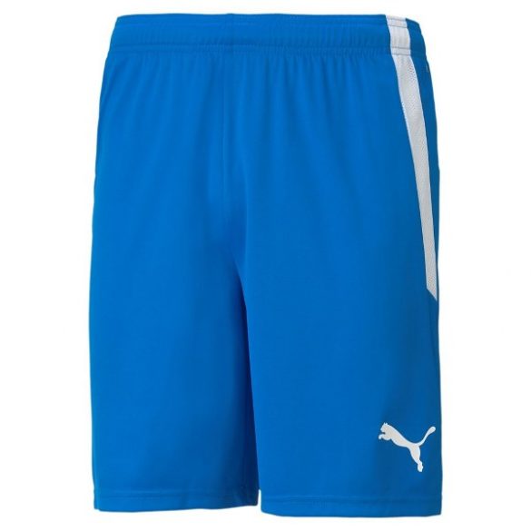 Puma teamLIGA Shorts Férfi rövidnadrág - SM-704924-02